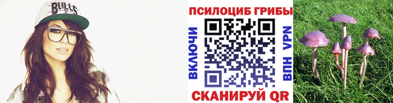 Псилоцибиновые грибы MAGIC MUSHROOMS  Курлово 